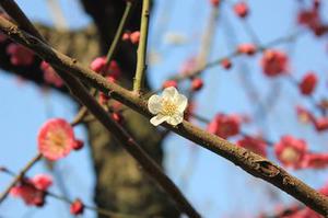 一位經(jīng)濟(jì)學(xué)家的閱讀視角???——讀《無(wú)用才讀書》