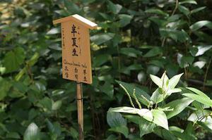 五個新手創(chuàng)業(yè)的項目，學(xué)習(xí)自用，舉一反三才是創(chuàng)業(yè)的開始