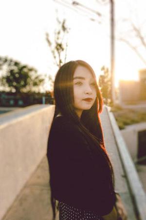 如果我是一只鳥