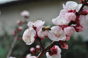 請給農村土狗一點活的尊嚴