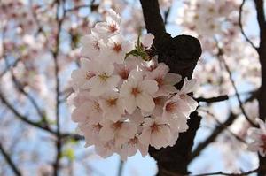 山西省科學(xué)技術(shù)情報(bào)研究所