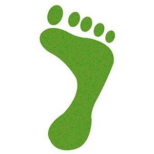 廳黨組成員、總工程師張生福以及廳屬有關(guān)單位負(fù)責(zé)人