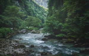 為滿足平安夜大量人流通行