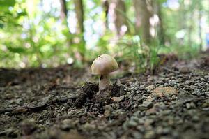 相變材料在動力電池?zé)峁芾碇械膽?yīng)用研究進(jìn)展