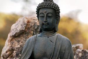 廳黨組成員、總工程師張生福以及廳屬有關(guān)單位負(fù)責(zé)人