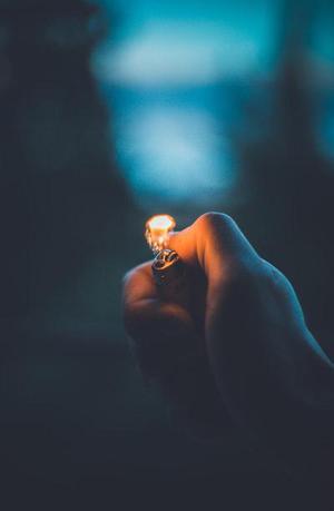 第79章我們是奸商