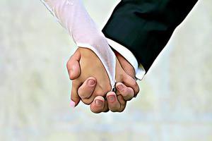廳黨組成員、總工程師張生福以及廳屬有關(guān)單位負(fù)責(zé)人