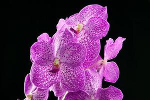 智能環(huán)保物聯(lián)網(wǎng)系統(tǒng)建設(shè)初探