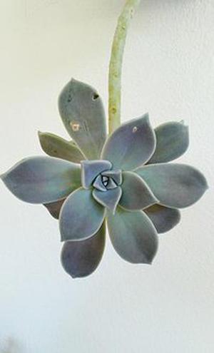面向模型驅(qū)動的數(shù)據(jù)倉庫開發(fā)方法研究