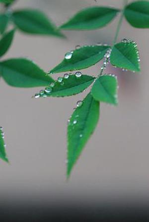 鐵路首改分配機(jī)制10月貨運(yùn)增幅驚人