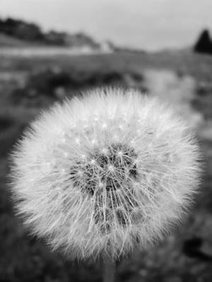 網(wǎng)絡(luò)信息管理中入侵檢測技術(shù)的研究