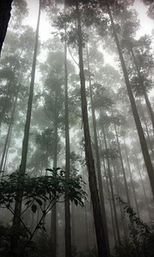 多路增量源源不斷進(jìn)場(chǎng)A股“大盤(pán)搭臺(tái)、小盤(pán)唱戲”格局正形成