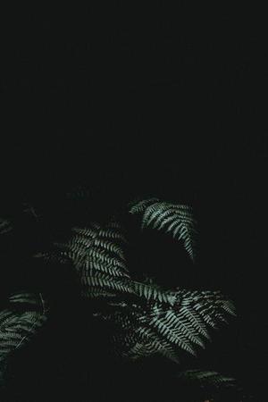 新課程理念下中學(xué)生寫作興趣淺議