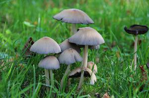 趣背單詞 | 英文12個(gè)月份單詞中隱藏的秘密
