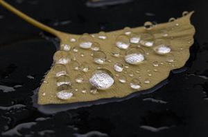 也許流浪只為到達你身旁