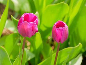 時(shí)光若不善待于你，還以他日別來(lái)無(wú)恙
