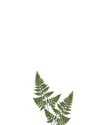 王健專覽銀發(fā)人確?？鞓贩椒? class=