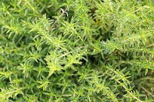 基于LabVIEW的水聲通信網(wǎng)絡節(jié)點技術研究