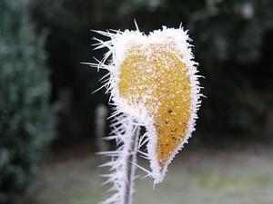 五個新手創(chuàng)業(yè)的項(xiàng)目，學(xué)習(xí)自用，舉一反三才是創(chuàng)業(yè)的開始