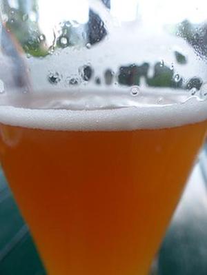 你好李濤