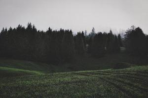 第二十二章教訓(xùn)白子茹