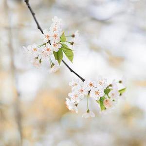 中衛(wèi)市以轉(zhuǎn)型追趕、高質(zhì)量發(fā)展為主線