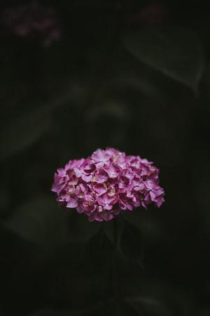 網(wǎng)絡(luò)與信息安全新趨勢與新挑戰(zhàn)的研究