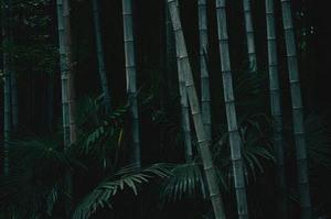 康必煌