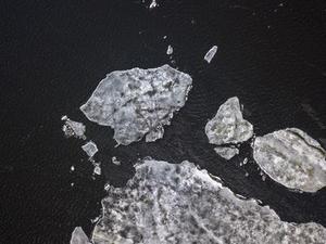 第1143章因?yàn)樗橇诛L(fēng)