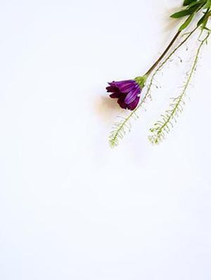 《嫌疑人x的獻(xiàn)身》:傾其所有為所愛之人保駕護航