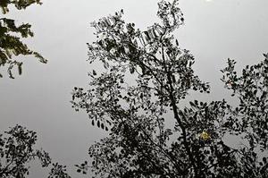 老子不老，哲學(xué)未死——《道德經(jīng)》中哲學(xué)對文藝的啟發(fā)