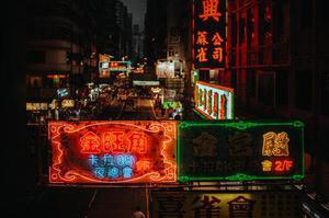 骨髓間充質(zhì)干細(xì)胞捕獲支架對犬冠狀動脈再狹窄影響的研究