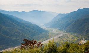 鳳岡縣茶葉出口達(dá)萬元