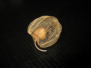 劉鵬康