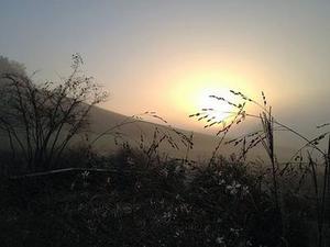 眼球筋膜囊下麻醉在小切口青光眼白內(nèi)障聯(lián)合手術(shù)中的應(yīng)用