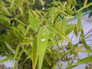 淺談供水企業(yè)物流管理及主管的職責和素質(zhì)要求