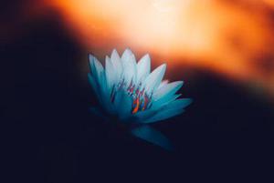 不嫖不賭不家暴，只是沒有犯法而已，請(qǐng)別扯上“好男人！”