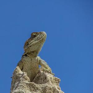 將于年春節(jié)前分批次遷入兩處安置區(qū)