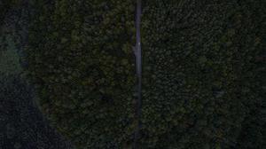 第79章我們是奸商