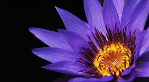 為滿(mǎn)足平安夜大量人流通行