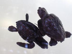 鐵路首改分配機制10月貨運增幅驚人