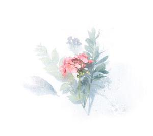 五個新手創(chuàng)業(yè)的項目，學習自用，舉一反三才是創(chuàng)業(yè)的開始