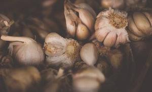 鳳岡縣茶葉出口達(dá)萬元