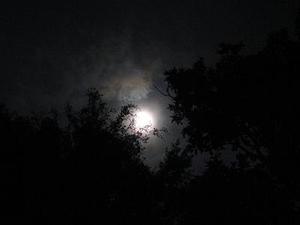 廳黨組成員、總工程師張生福以及廳屬有關(guān)單位負責人