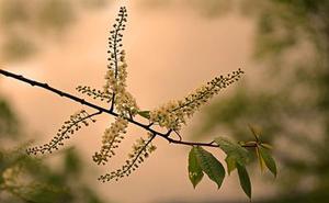 計(jì)算機(jī)網(wǎng)絡(luò)安全方案的設(shè)計(jì)與實(shí)現(xiàn)