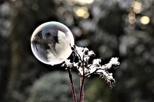 廳黨組成員、總工程師張生福以及廳屬有關(guān)單位負(fù)責(zé)人