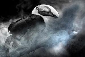 顯現(xiàn)的一抹亮色