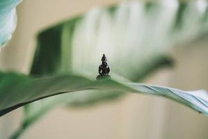 省供銷社進一步鞏固深化拓展百日攻堅行動成果