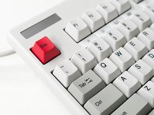 省供銷社進(jìn)一步鞏固深化拓展百日攻堅行動成果
