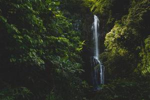 高速公路監(jiān)控系統(tǒng)中視頻采集技術(shù)的研究與實現(xiàn)